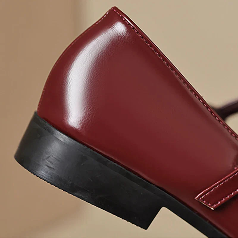 Casual Mary Jane Pointed Shoes